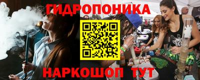 a pvp Краснознаменск
